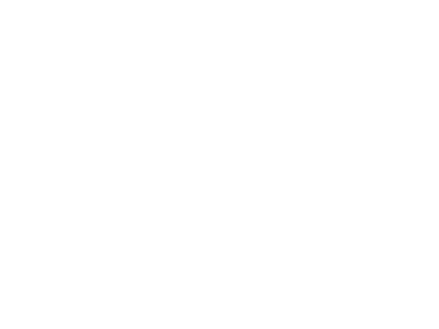 Seedance